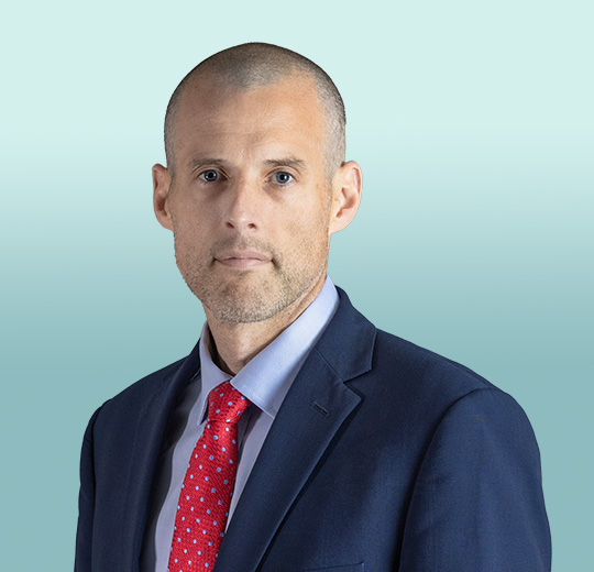 Karl Williamson Quilter Cheviot