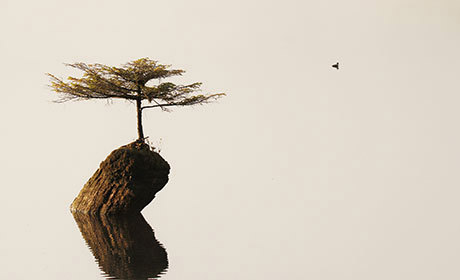 Building Financial Resilience - Conversations That Matter