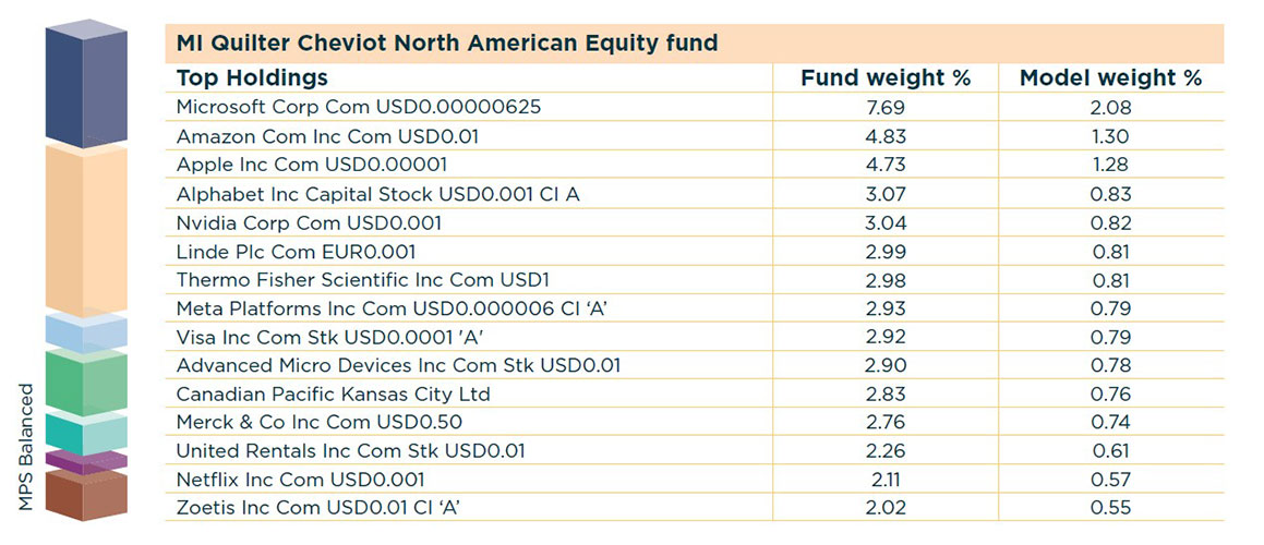 Table showing the top holding in the North American Equity Fund